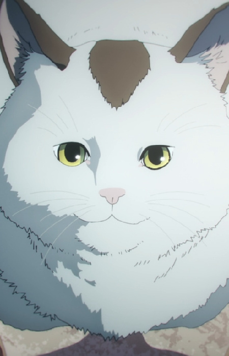 Meowy