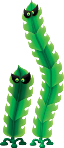 Komboo
