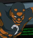 Salamander